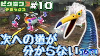 初見で戦うのはズル！『ピクミン3デラックス』を実況プレイ #10