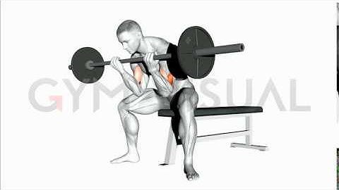Barbell Seated Close grip Concentration Curl