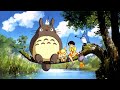 [No ads] Best Relaxing Piano Studio Ghibli Complete Collection 🎵 Relaxing Music,Deep Sleeping Music