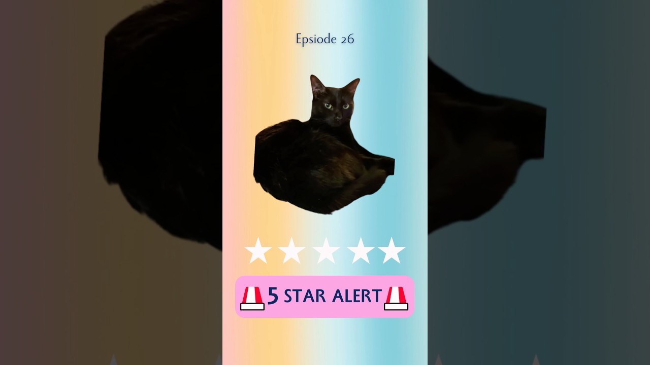 Episode 26 had two books from the same series as 5 stars! A Books I Read with My Cat 1st! #booktube