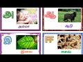       a aa e ee uyir ezhuthukkal song learn tamil alphabets