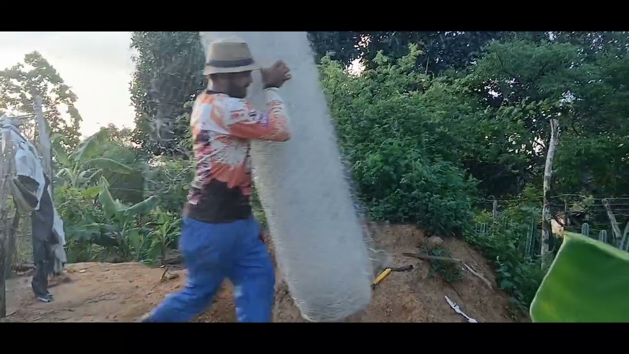 Hoje foi dia de esticar a tela do galinheiro da galinha