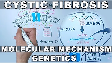 Cystic Fibrosis | Molecular Mechanism & Genetics