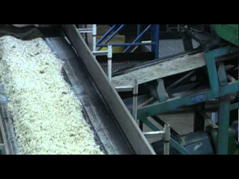 Video: Det Här Barbados Rumtåget Går Från Sockerrörsfält Till Destilleri