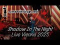 Jamiroquai - Shadow In The Night ( New Song) Live Wiener Stadthalle - Vienna 2025 4K