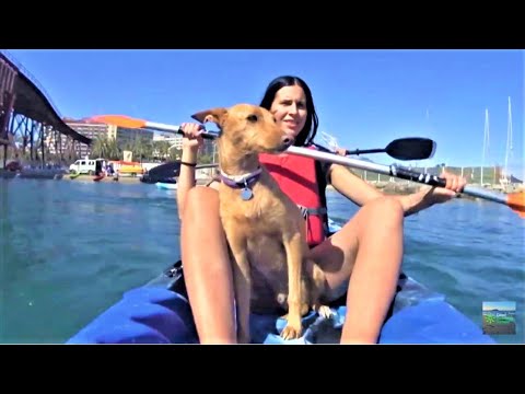 De vacaciones con mascota, Mojácar, Almería - YouTube