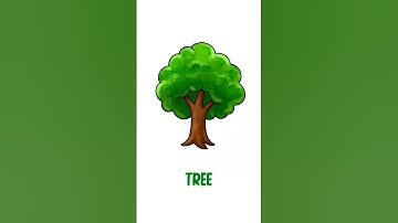 Tree Drawing for Kids #kidsdrawing #shorts