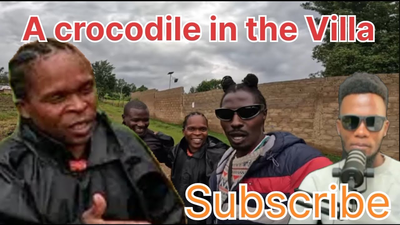 Breaking news!!! A crocodile@iam_marwa Villa.