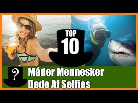 Video: Selfie-dødsfald Er Nu Mere Almindelige End Hajangreb