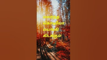 Thumbnail of Thendral vanthu ilaiyaraaja k.j.yesudas &s.janaki #shorts  #ilaiyaraaja #love #director