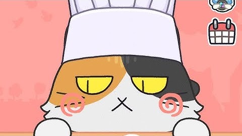 LIVE CAT ESCAPE HIDE AND SEEK