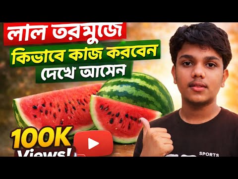লাল তরমুজে কিভাবে কাজ করে দেখেন 2026