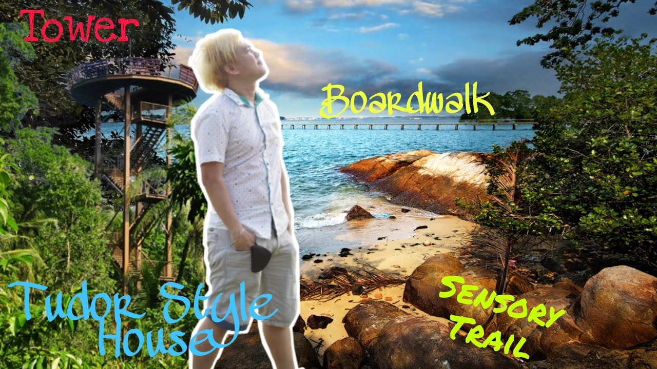 Richest Ecosystem: Chek Jawa Wetlands at Pulau Ubin | Singapore