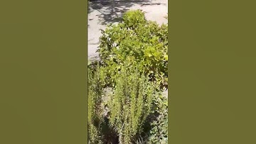 تلاوة رائعة تريح القلب عبد العزيز سحيم
