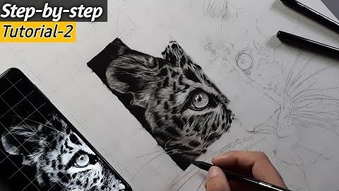 Realistic Leopard Drawing Tutorial | Episode-2
