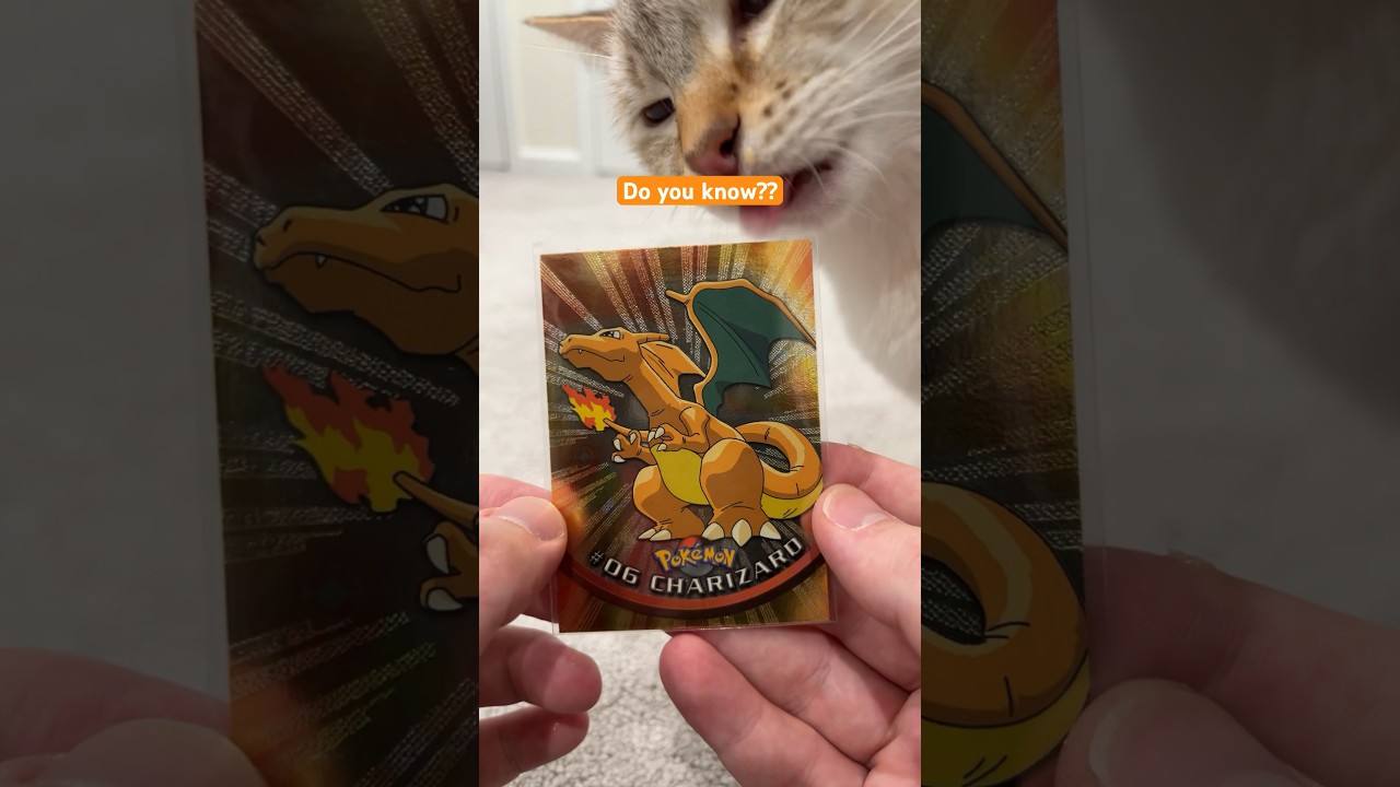 Do you know the value of this rare Pokémon card? 