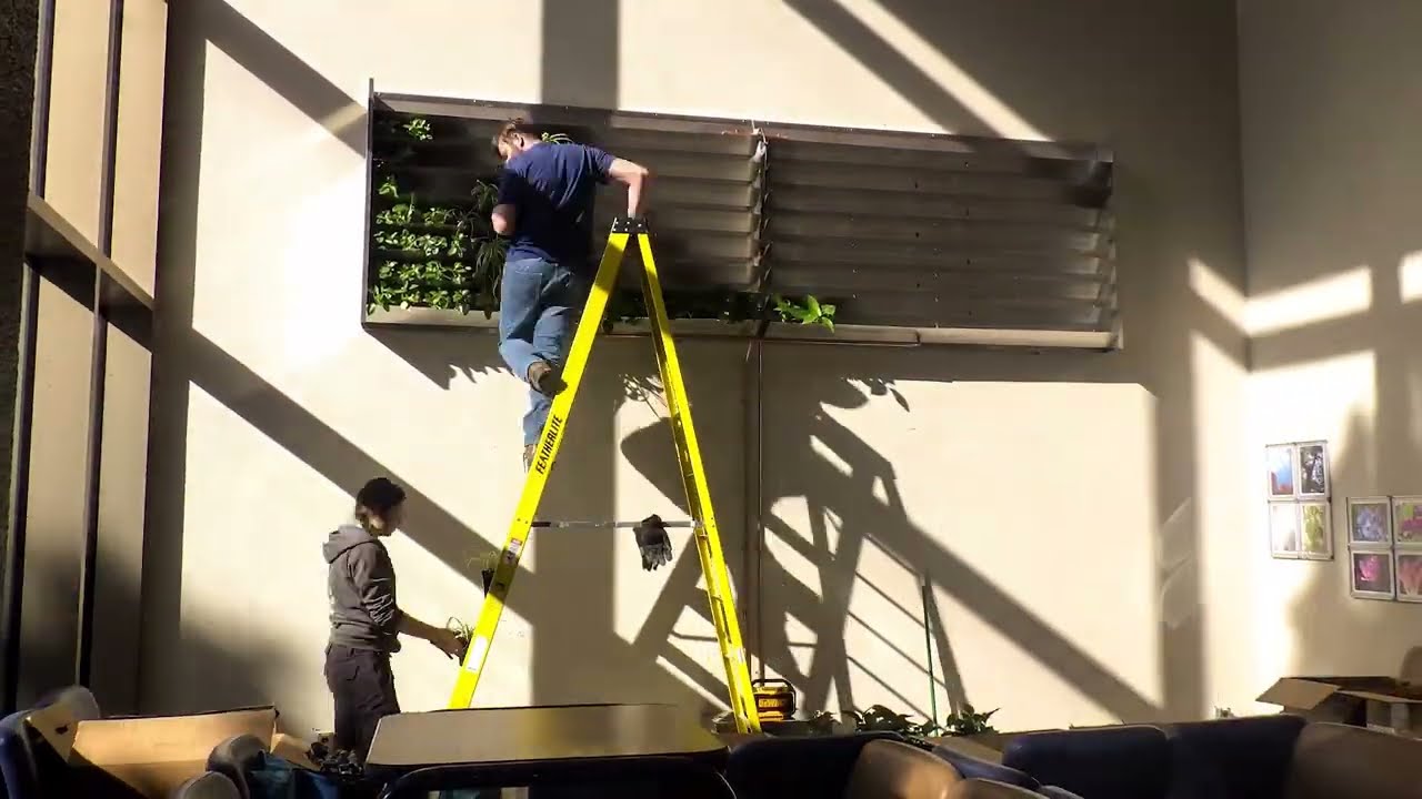 Vidéo - Intro - La ligne verte Toit vert