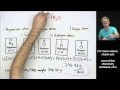 Molar Mass and Chemical Composition