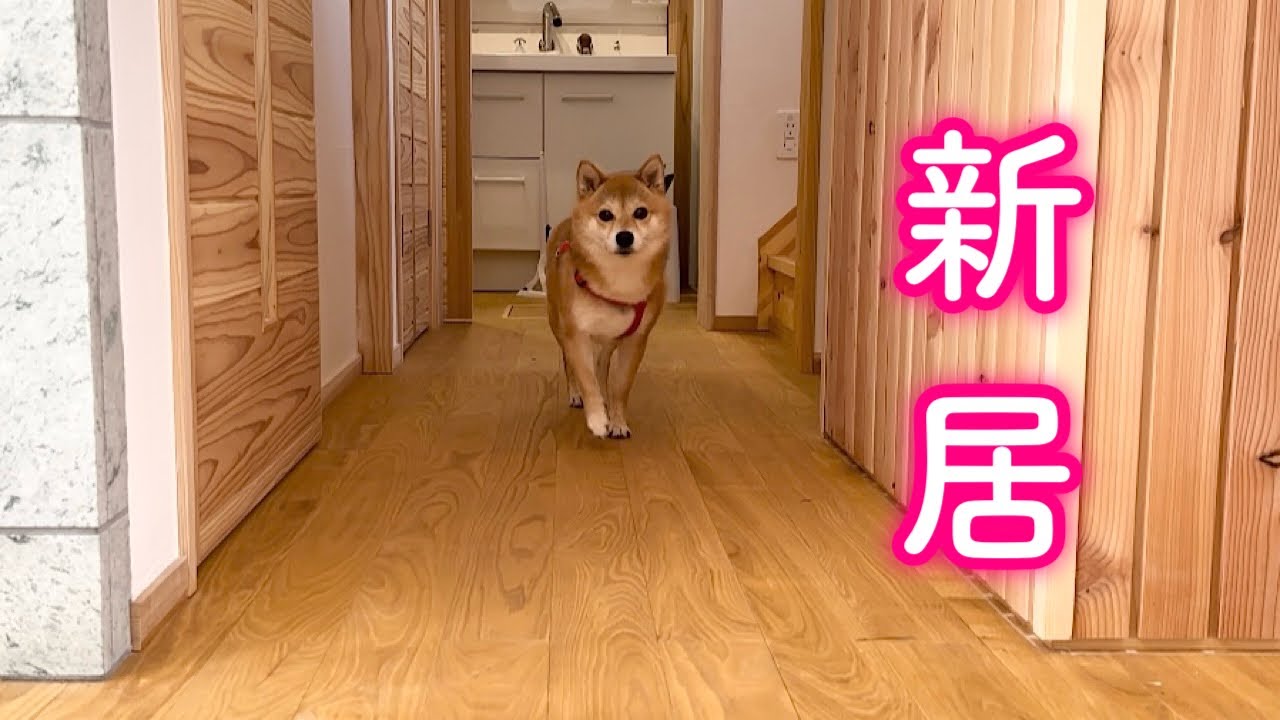 遂に軽井沢での新しいお家にやってきました…！