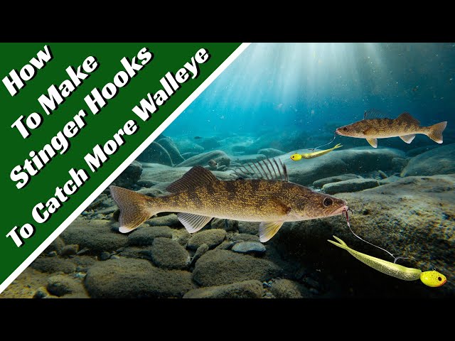 How To Make Stinger Hooks To Catch More Walleye ! 