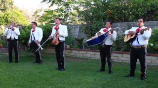 Video thumbnail of "Mariachi Tequila Express - hermoso cariño"