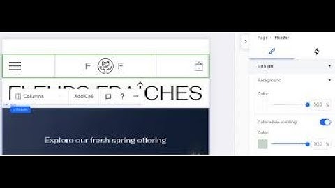 Change Header Color on Scroll in Wix studio: Easy guide
