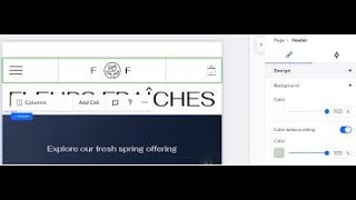 Change Header Color on Scroll in Wix studio: Easy guide