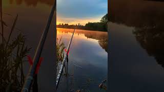 В любой момент,можно найти свою красоту🤝😁 #рыбалка #природа #россия #щука #fishing #рыба