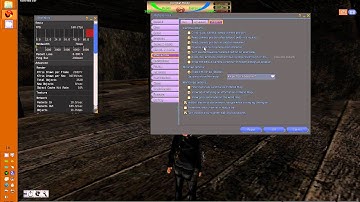 Firestorm Viewer Fighting Settings Speed and Stability Part B