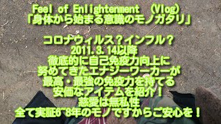 COVID-19？インフル？自己免疫力さえキチンと高めておければ怖がる必要なし！徹底的整合性のエナジーワーカーが語りました　Feel of Enlightenment （Vlog)