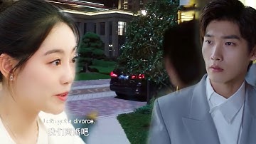 妻子突然提离婚，丈夫狂追，却看见妻子上了别的男人的车！【程序员那么可爱 Cute Programmer】