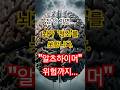 &quot;잠 부족하면 뇌가 썩는다? 진짜 과학입니다&quot;  #수면건강 #뇌청소 #글림프시스템 #건강정보 #멘탈케어 #마인드핏랩 #잠이보약 #수면의중요성 #헬스케어