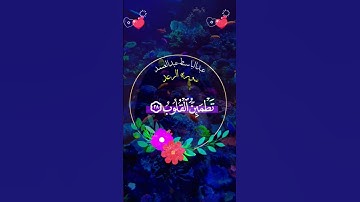 سورة الرعد #قرآن #تلاوة_خاشعة #مصر #السعودية #دويتو #لايك #ترند #أكسبلور #duet #لايك