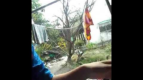 Cuộc thi ăn dưa hấu