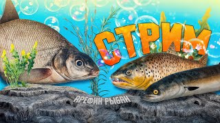 видео: ПОДДЕРЖИ РЫБАКА СТРИМ РУССКАЯ РЫБАЛКА 4 #рыбалка #РусскаяРыбалка #Fishing картинка: ПОДДЕРЖИ РЫБАКА СТРИМ РУССКАЯ РЫБАЛКА 4 #рыбалка #РусскаяРыбалка #Fishing