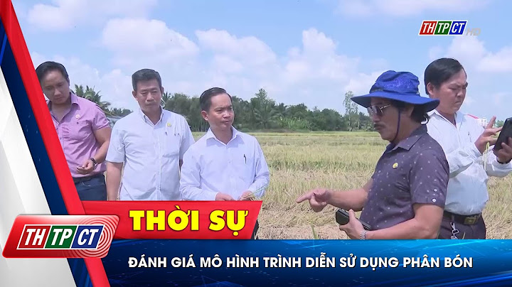 Công ty cp phân bón hóa chất cần thơ năm 2024