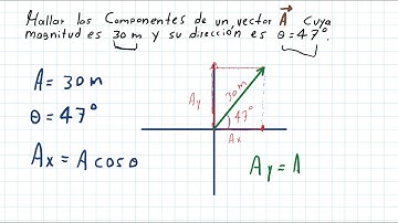 Como calcular los componentes de un vector