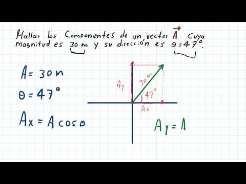 Video: Cómo Calcular Un Vector