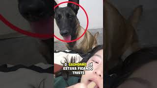 Olha a maneira estranha que essa garota arrumou para dar comida ao seu cachorro😱