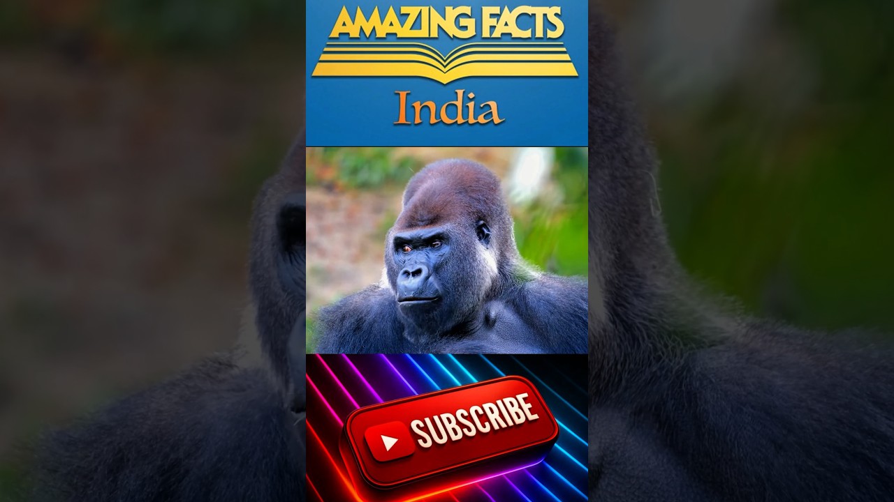 विश्व का एक जीव जो सबसे जदा जान ले चुका है 😱#amazingfacts #facts #woldfact #shortvideos #trending