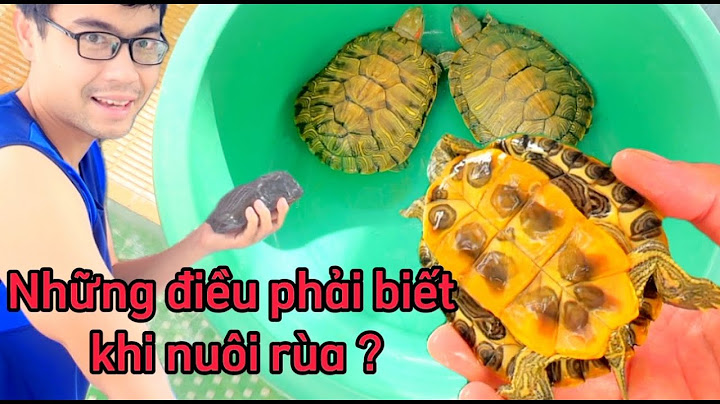 Hướng dẫn nuôi rùa sulcata	Informational