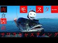 凶器の用な歯を持つ魚と激闘する瀬戸内サワラキャスティングゲーム