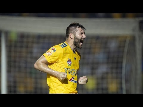 4 años y 104 goles de André Pierre Gignac