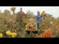 Miniature de la vidéo de la chanson Blunt Force Concussion