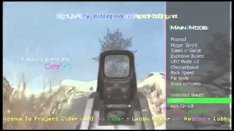 Mw2 tu8 modmenu best one