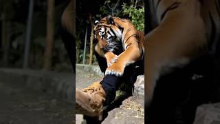 MAI ALAG HU😀#tigerzindahain #comedy #comedyvideos #funny #comedyshorts #fun #shortvideos #tiger #lol