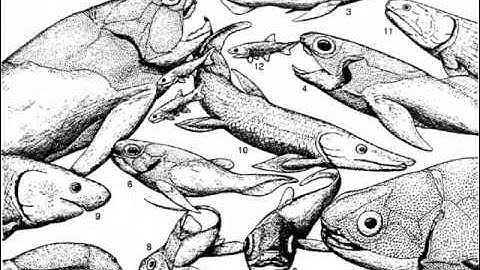 9th Foundational Falsehood of Creationism