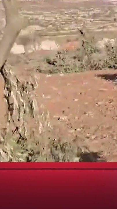           
 - نشر قبل 27 دقيقة