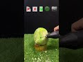 Which Material Can Cut a small Cabbage #experiment #satisfying #asmr #shorts #youtube