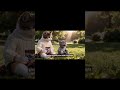 [ASMR] My Childhood Memories as a Tiny Kitten 🐾 | Cozy Family Story